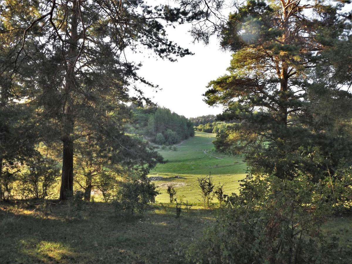 Вилла Agroturystyka Dolina23 Piaski Экстерьер фото